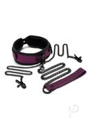 Whipsmart Dragon`s Lair Collar, Leash And Nipple Clips Set - Black/purple